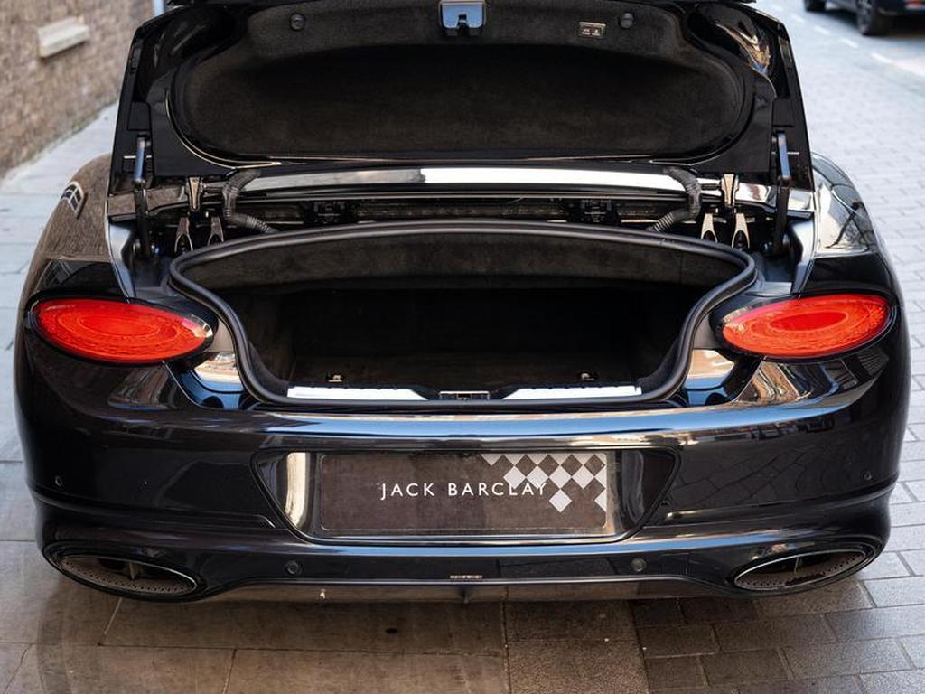 Image of trunk