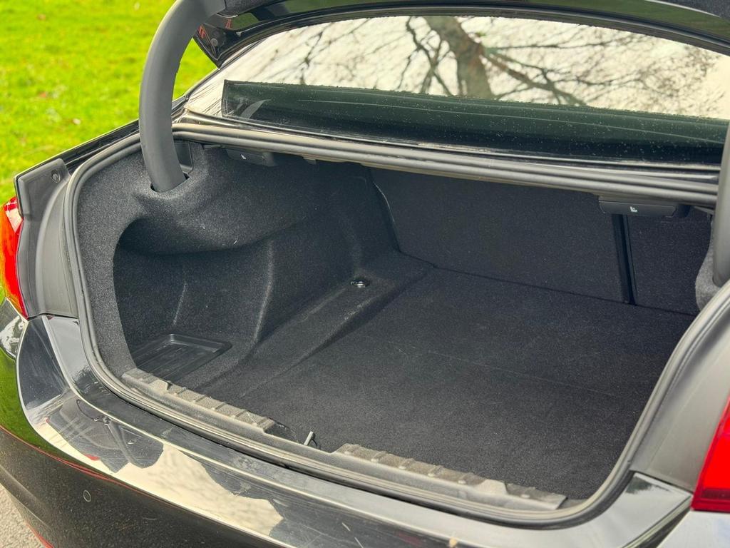 image of trunk