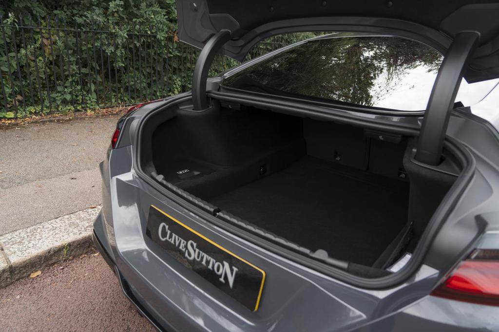 image of trunk