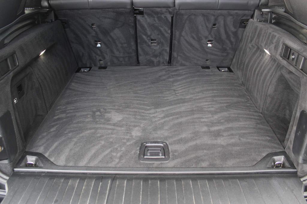 image of trunk