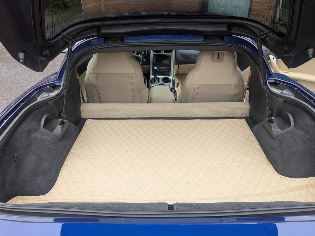Image of trunk