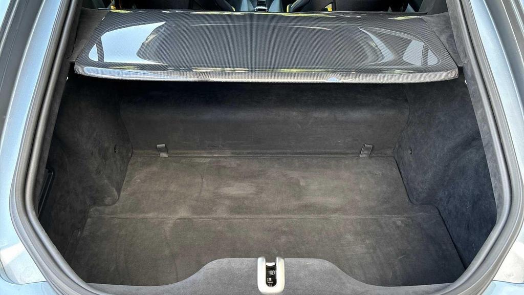Image of trunk