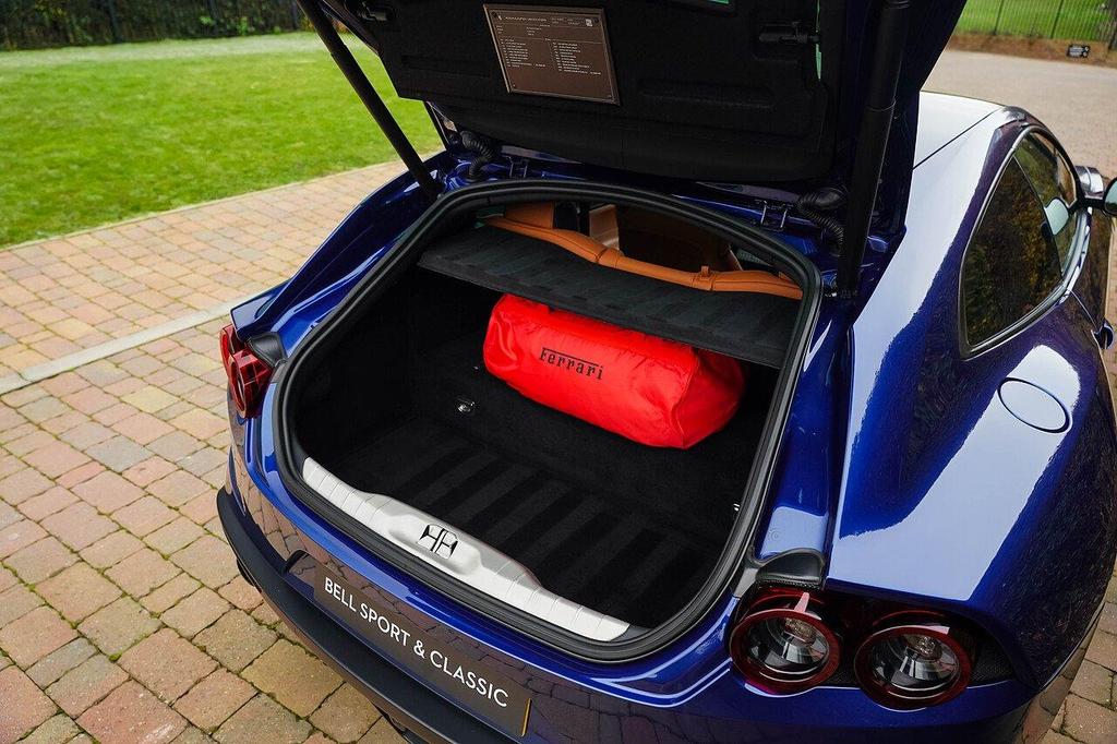 Image of trunk
