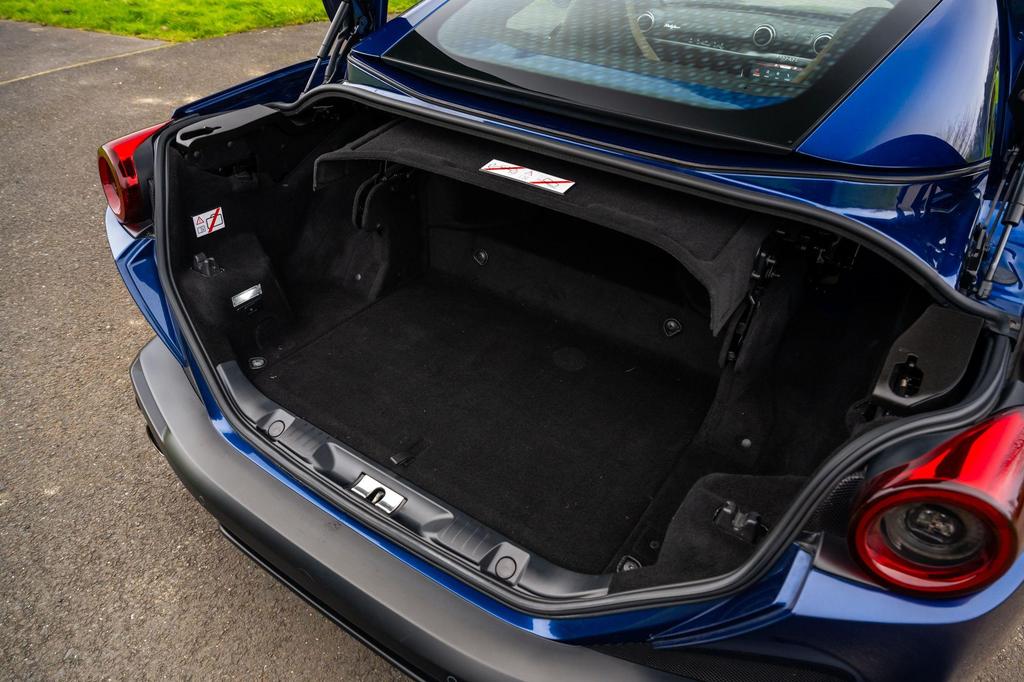 Image of trunk