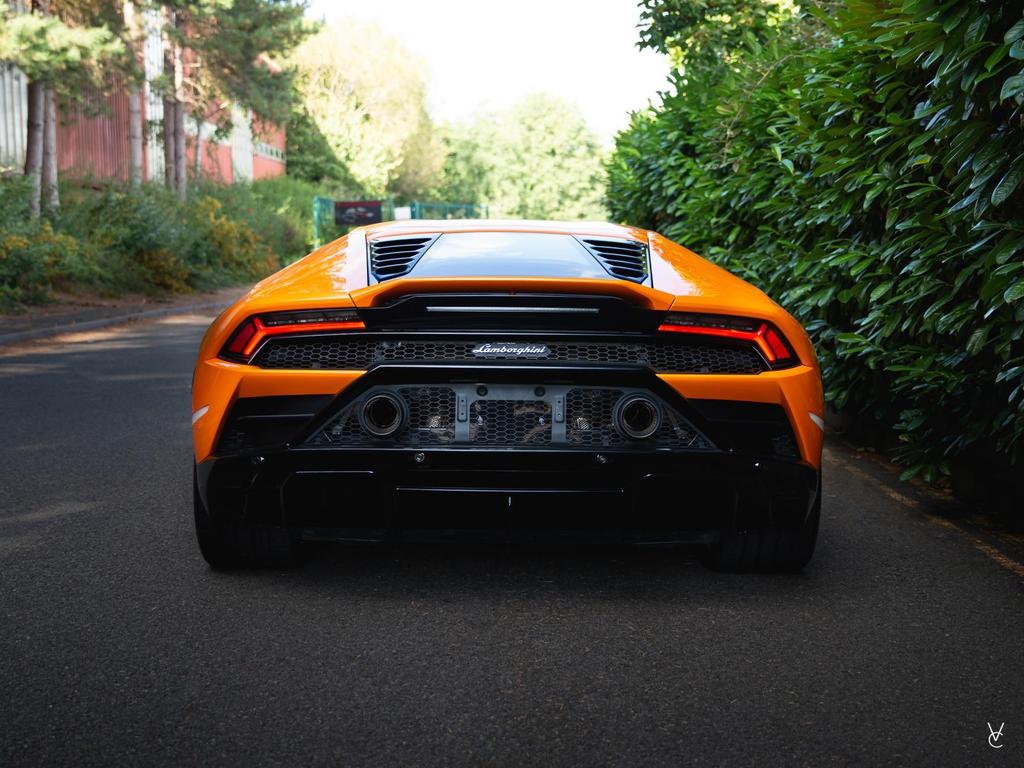 Image of rear