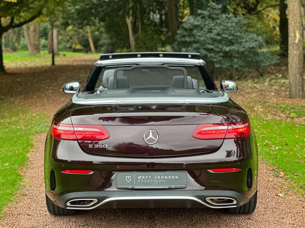 Image of rear