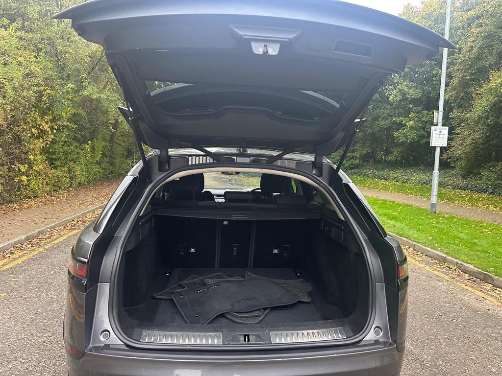 Image of trunk