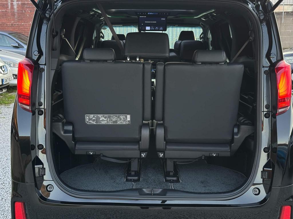 Image of trunk