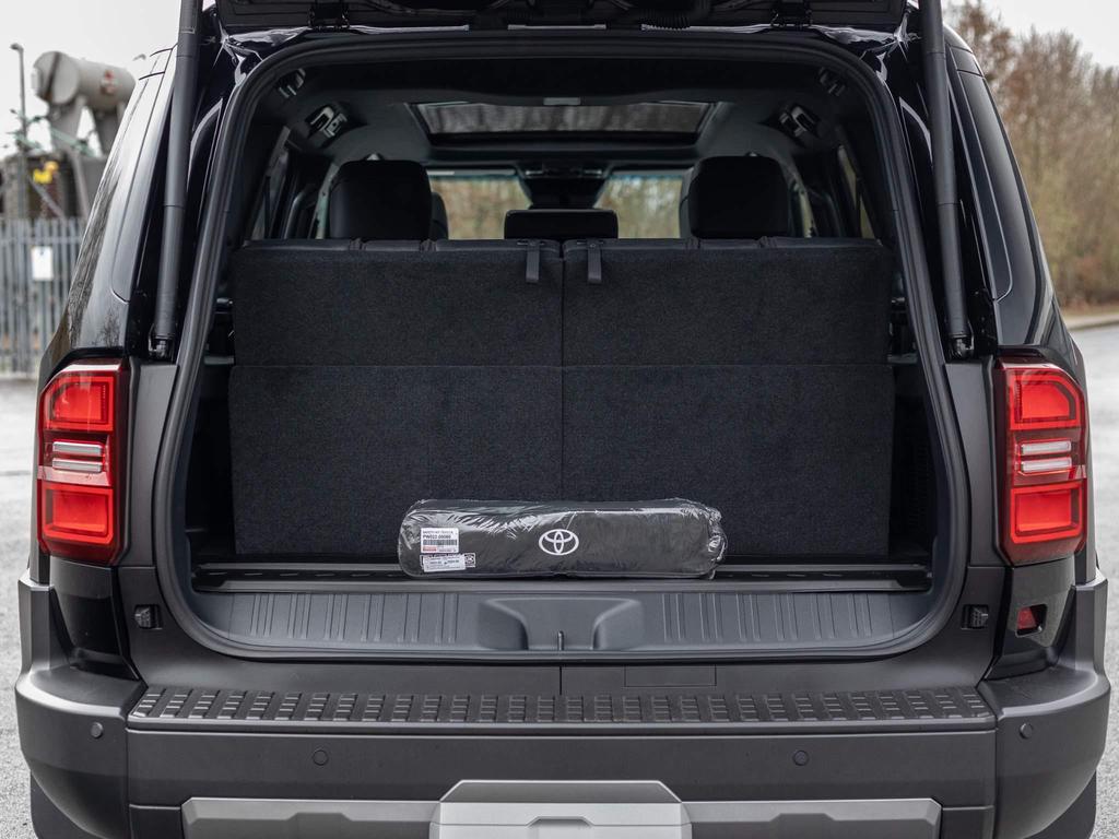 Image of trunk