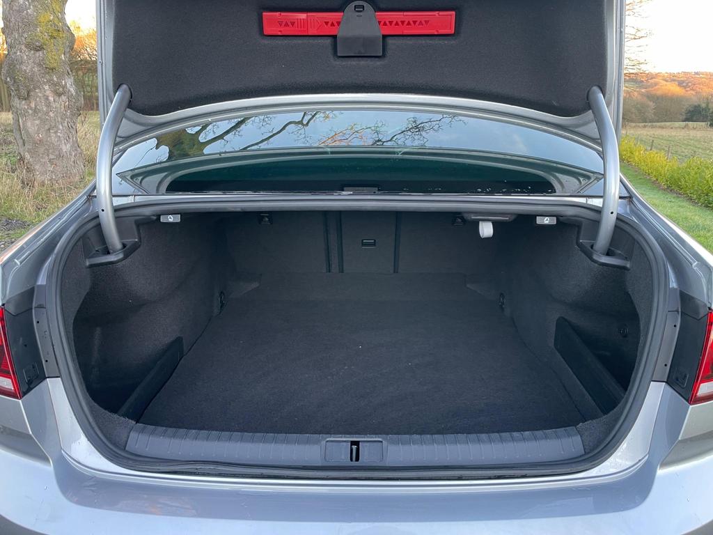 Image of trunk